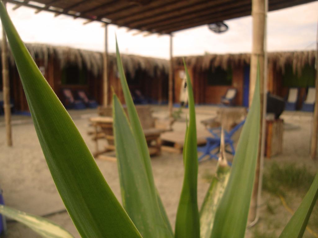 Hostel Psygon Surf Camp Máncora Zewnętrze zdjęcie