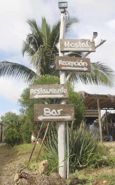 Hostel Psygon Surf Camp Máncora Zewnętrze zdjęcie